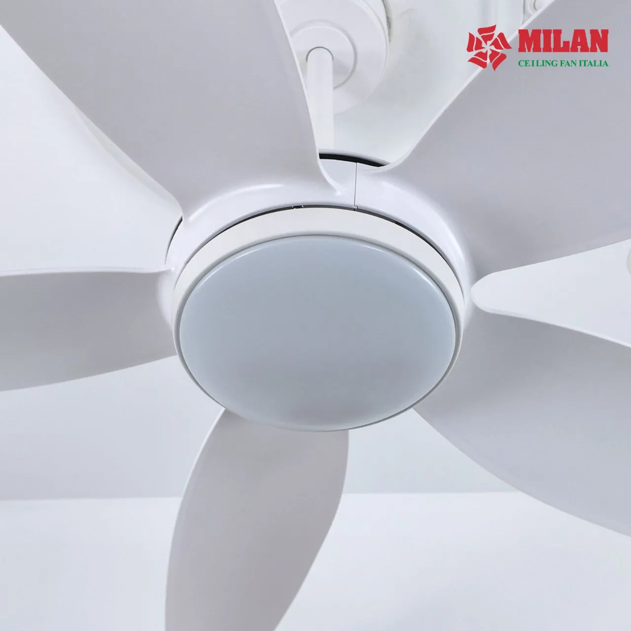 uạt trần đèn 5 cánh FY528 – màu trắng làm tăng giá trị thẩm mỹ của căn phòng.
